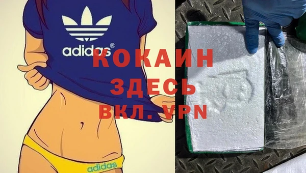 бошки Алзамай