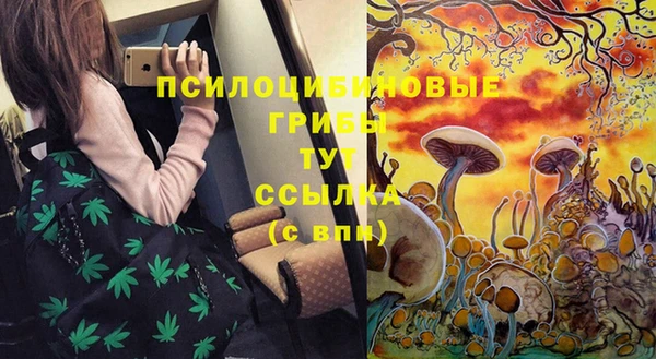 кокаин Грязовец